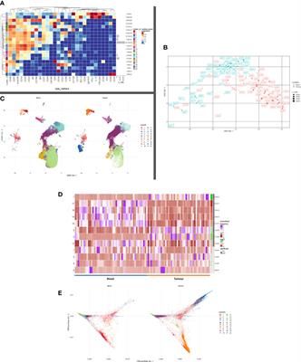 Deep immune B and plasma cell repertoire in non-small cell lung cancer